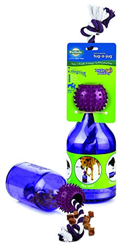PetSafe Busy Buddy Tug-A-Jug Meal Dispensing Dog Toy, Small