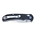 Ganzo G7531 Folding Pocket Knife 440C Stainless Steel Blade G10 Anti-Slip Handle with Clip Hunting Fishing Camping Folder Outdoor EDC Knife (Black)