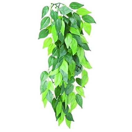 Trixie 76239 Seiden-Hängepflanze, Ficus