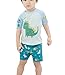 TAIYCYXGAN Baby Toddler Boys Two Pieces Swimsuit Set Boys Dinosaur Bathing Suit Rash Guards with Hat UPF 50+ Blue 2T