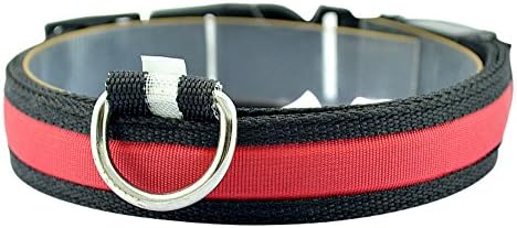 BARK CITY NYC LED Bright Neon Dog Collar - 6 Color Options- 4 Size Options - USB Rechargeable (Large, Red)