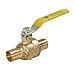 Full Port PEX Ball Valve with Adjustable Drain 1 Inch Forged Brass