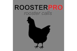 Rooster Sounds & Chicken Sounds