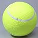 Homedeco Puppy Tennis Ball Big Pet Dog Thrower Chucker Launcher Inflatable Play Toys
