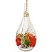 Bliss Gardens Teardrop Air Plant Terrarium Kit with Geode Half, 2 Air Plants Tillandsia / Large Hanging 13" Glass / Sunburst On Ice