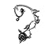 Alchemy Gothic Black Rose Ear Wrap Lightweight Fashion Women's/Girl's Ear Dangling Cuff