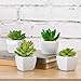 MyGift Decorative Indoor Fake Plants, Assorted Artificial Succulents in White Ceramic Planter Pots, Set of 4