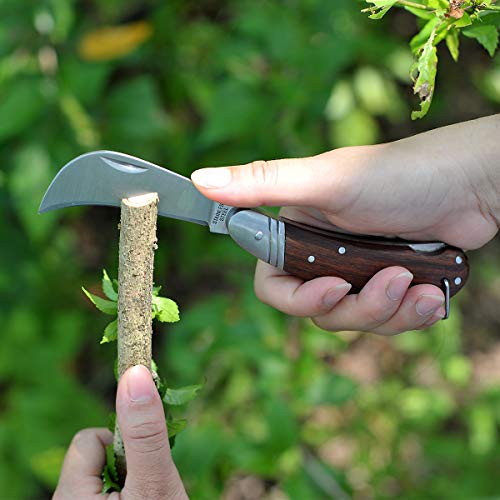 LinsenOutdoor Pruning Knife with Lock Back,Grafting Knife, Stainless Steel Garden Budding Knife