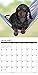 2016 Just Mini Dachshunds Wall Calendar
