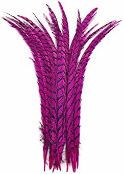 Pheasant Feathers, 5 Pieces - 30-35" Hot Pink Zebra Lady Amherst Pheasant Tail Feathers