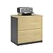 Bejamin Lateral File Cabinet