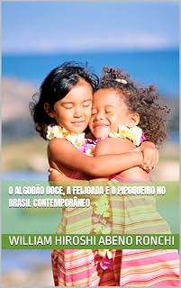 Livro O algodão doce, a feijoada e o pipoqueiro no Brasil contemporâneo