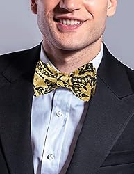 DiBanGu Gold Bow Ties for Men Self Tie Bow Tie and
