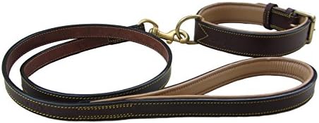 Safex Leather Dog Collar and Leash Set, Large, Fits Neck Size 18-21 Inches, Maple Brown with Beige Padding