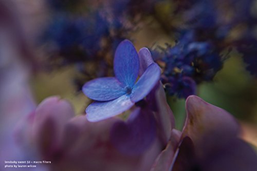 Lensbaby 46mm Macro Filter Kit