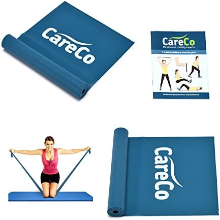 EXEFIT Resistance Band Exercise Workouts 2 Bands with Carry Bag and Instruction Book for Strength/Stretch/Physical Therapy/Pilates/Yoga/Rehab/Glutes/Postnatal/Patella Training