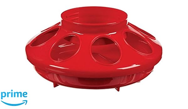 Amazon Com Little Giant Farm Ag 806red 1 Quart Red Baby Chick