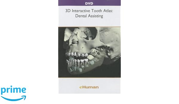 Dental Anatomy & 3d Interactive Tooth Atlas Free Download