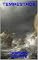 Livro TEMPESTADE