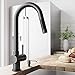 VIGO Gramercy 17'' H Single Handle Pull-Down Spout Kitchen Faucet in Matte Black-VG02008MB