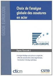 Choix de l'analyse globale des ossatures en acier