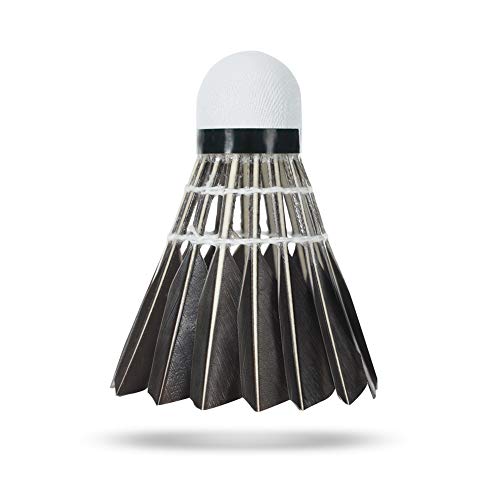 WHIZZ Badminton Shuttlecocks,12-Pack Goose Feather Badminton Birdies Balls with Great Stability and Durability for Indoor/Outdoor Sport Training Games, Black