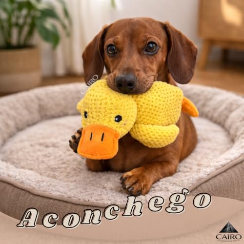 Brinquedo de Pelúcia para Cachorro em Formato de Pato Amarelo Macio e Interativo Ideal para Morder Brincar e Entreter o Pet (Médio, PET)