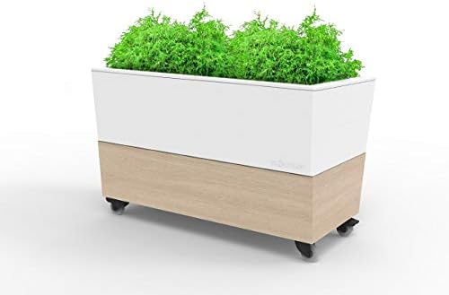 GlowpearSelf Watering Planter Box - 29.5", White - UV Stable, Café Raised Garden Bed with Water Gauge and Oak Base, Indoor Outdoor for Vegetables, Flowers, Herbs, and Succulents, Gardening