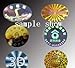 justlabel Golden Hologram Original Sticker Diameter 8mm/0.3