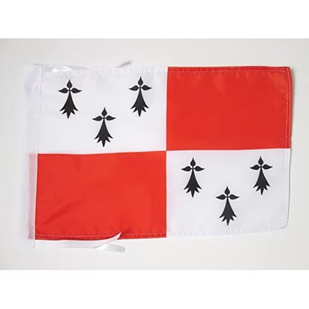 AZ FLAG - Pays de Dol Flag - 18'' x 12'' - 100% Polyester Bro-Zol in Brittany Small Banner with Two Cords - Fade Resistant - Vivid Colors - 18x12 in - 45x30 Cm — image 1