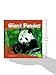 Giant Pandas (First Facts)