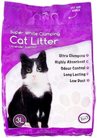 cat super white