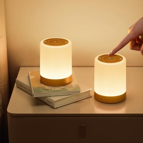 NIWOHOM 2 x Touch Bedside Lamp, Dimmable Wireless Rechargeable Lamp with 5 Modes and 256 RGB Colors, Warm Adult Night Light with Timer for Bedroom, Living Room, Camping