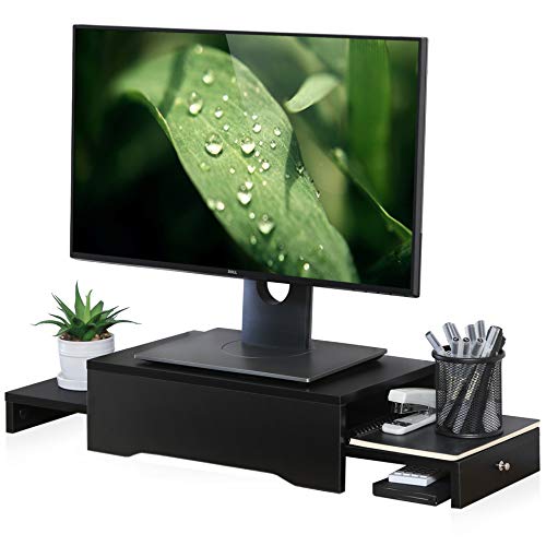FITUEYES Computer Monitor Riser Desktop Laptop Stand DT207001WB