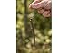 Berkley PowerBait® MaxScent The General Fishing Bait, Green Pumpkin Candy Red, 5in | 13cm, Soft Stick Bait with Irresistible Scent & Flavor, Classic Stick Bait Action, Deadly Bass Fishing Bait