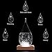 Storm Glass Weather Predictor glass Barometer Forecaster Creative Crystal Decorative Bottles Desktop Drops Forecast bottle Home and Office Birthday Christmas Gifts