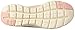 Skechers Sport Women's Flex Appeal 2.0 Bold Move Fashion Sneaker