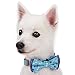 Blueberry Pet Gift Box with Pack of 2 Handmade Dog Cat Bow Tie, Go for Fun Designer Bowtie Set, 4