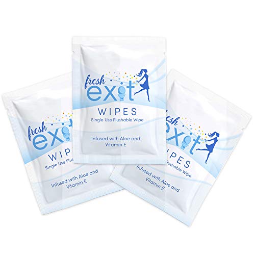 FreshExit 60 Individually Wrapped Flushable Wipes for Adults Travel