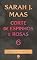 Livro Corte de espinhos e rosas 6