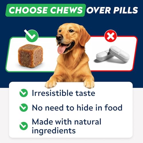 StrellaLab Dog Allergy Relief & Anti Itch Support Chews w/Omega 3: Real Ingredients, Real Taste! Skin & Coat Immune w/Fish Oil, Pumpkin & Enzymes — Developed by Experts - Made in USA - 60Ct