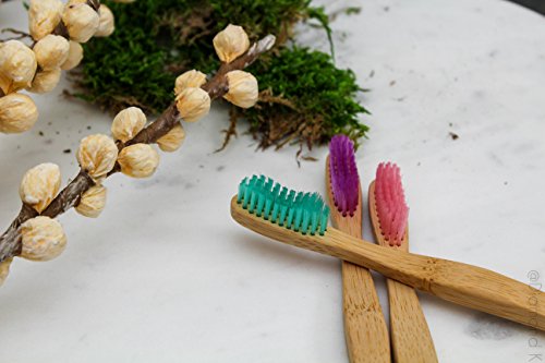 image for Bamboo Toothbrush - Organic Eco-Friendly Moso Bamboo Toothbrushes with