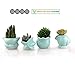 Seashell Succulent Pots 4pcs,Ceramic Planters of Sea Theme with Drainage Hole Cactus/Flower Plant Pots Perfect for Home Office Decor