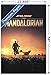 Trends International Star Wars: The Mandalorian - D23 One Sheet Wall Poster, 22.375