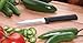 RADA Cutlery Serrated Regular Paring Knife (R142), 3.25