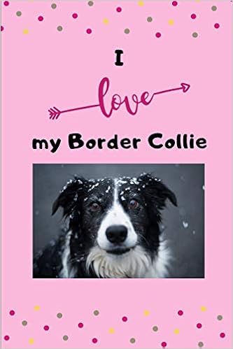 amazon border collie