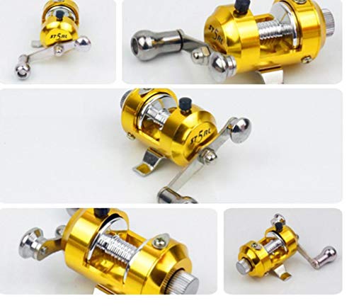 linjunddd 1pc Pen Angelrute Minitasche Angelrute Tragbares Teleskop Taschen Angeln Stippzubehör (rot) Convenient Fischen… – Bild 3