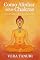 Livro Como Alinhar seus Chakras Guia Prático de Cura Interior (MEDITAÇÃO Livro 4)