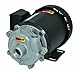 AMT Pump 368A-95 Straight Centrifugal Pump, Cast Iron, 1/3 HP, 1 Phase, 115/230V, Curve A, 3/4