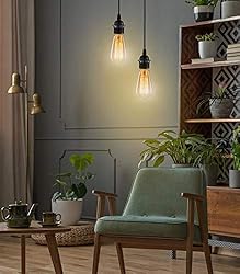 Hanging Lights with Plug in Cord, FadimiKoo Hanging